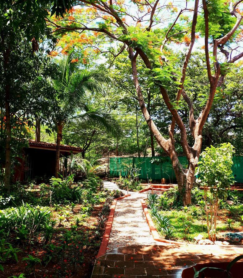 Casa Mapache Hotel Tamarindo Exterior foto