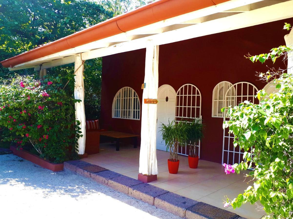 Casa Mapache Hotel Tamarindo Cameră foto