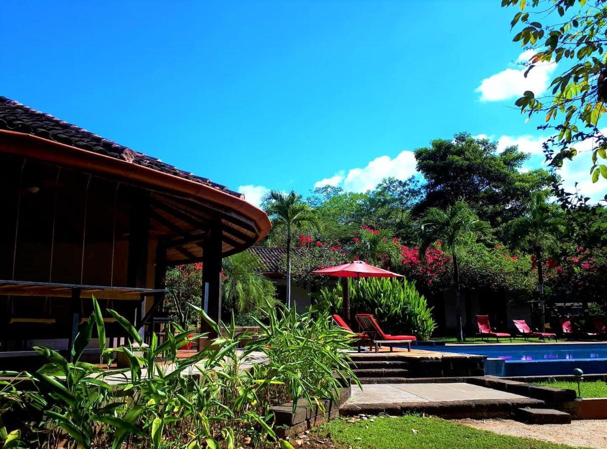 Casa Mapache Hotel Tamarindo Exterior foto