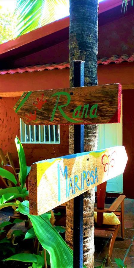 Casa Mapache Hotel Tamarindo Exterior foto